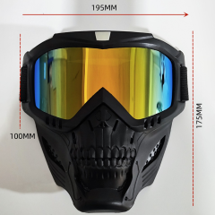 Detachable Skull Goggle Mask