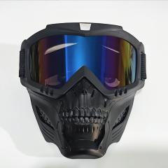 Detachable Skull Goggle Mask