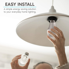 A19 LED Light Bulb 60W Equivalent