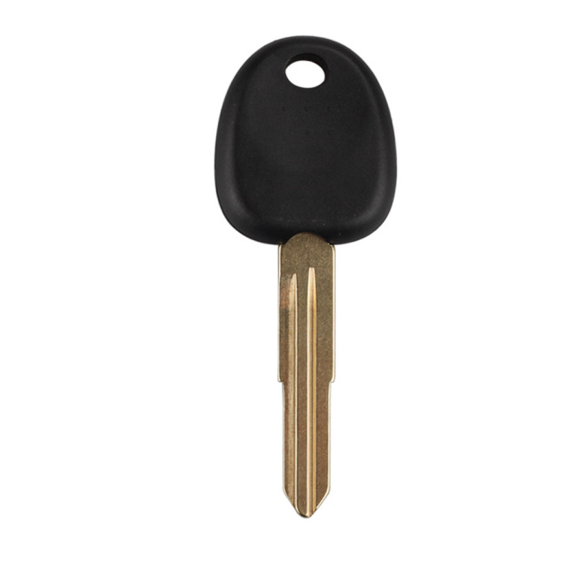 AS020050 for Hyundai Transponder Key Shell HYN7R