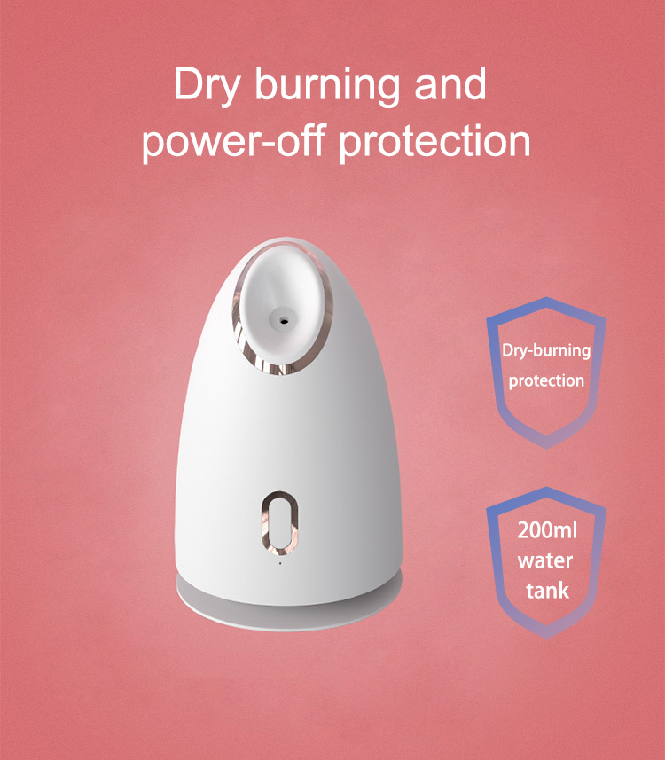 Z1 Hot sell facial steamer
