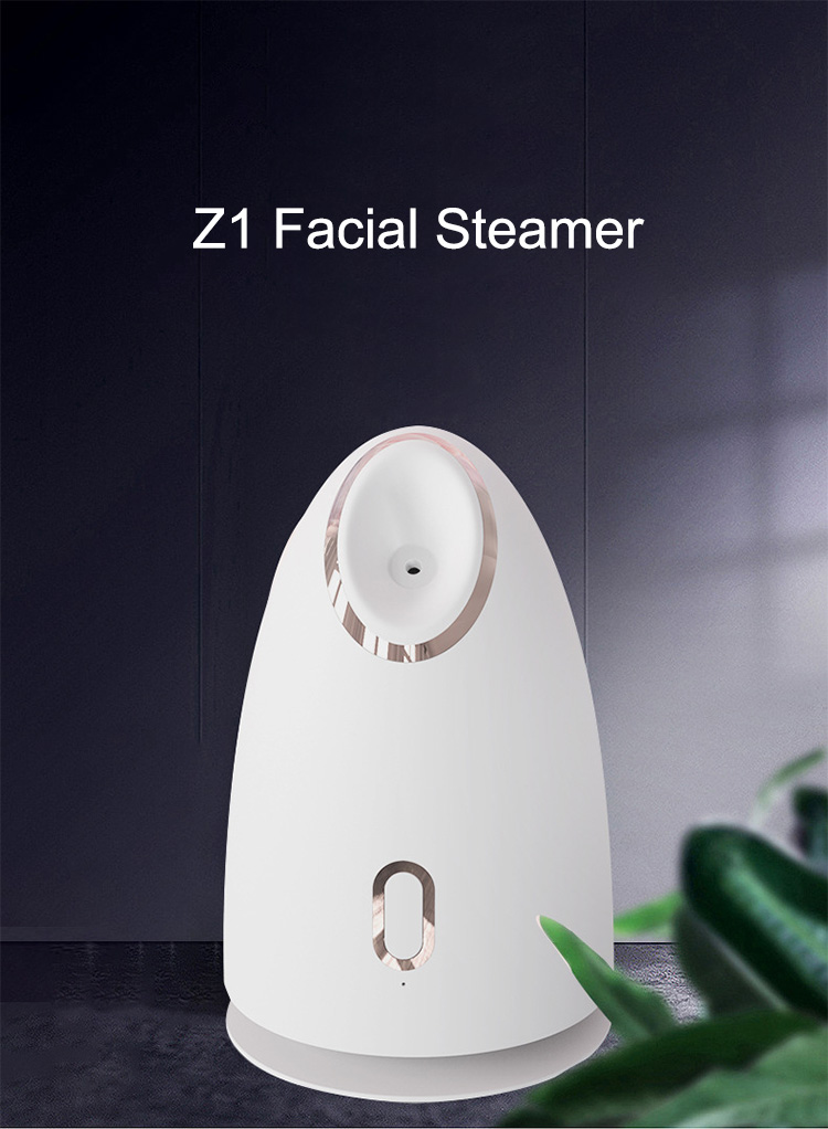 Z1 Hot sell facial steamer