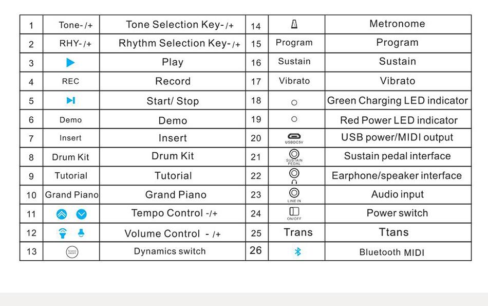 NEW design electrical piano with computer and app function and beautiful appearance PZ61M