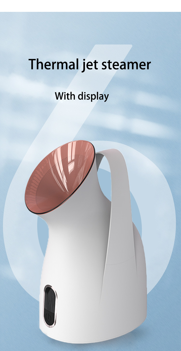 Z3 facial steamer