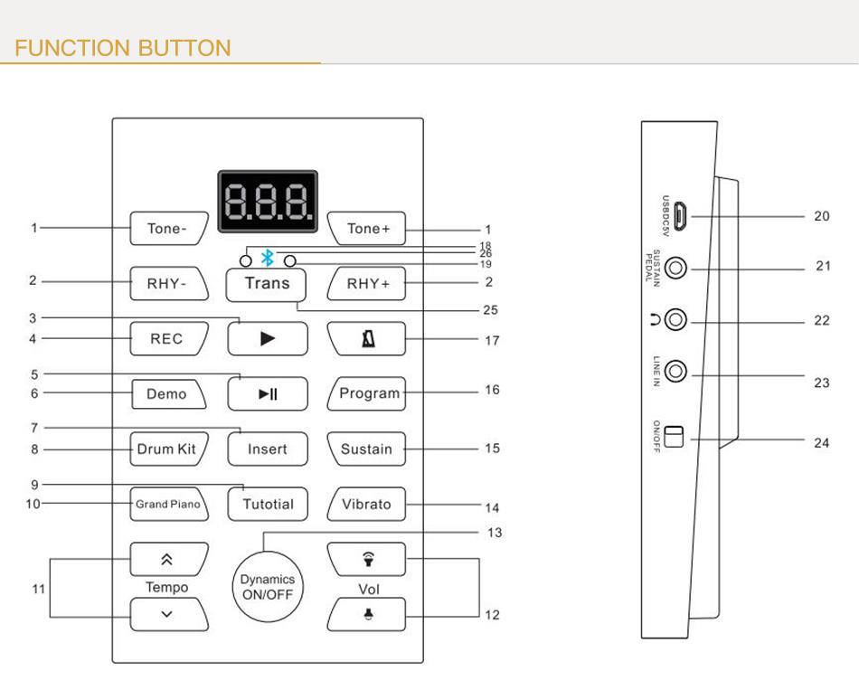 NEW design electrical piano with computer and app function and beautiful appearance PZ61M