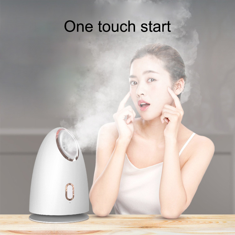 Z1 Hot sell facial steamer