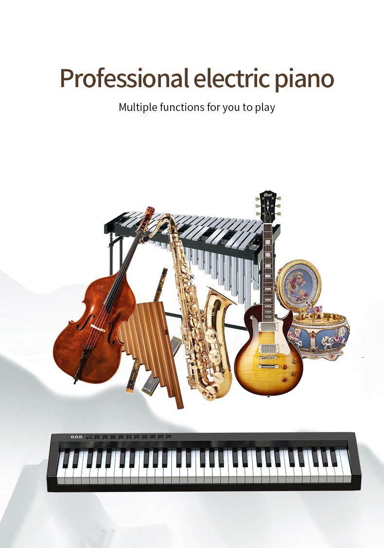 Elegant multifunction 61 keys travel Electronic Piano PH61C