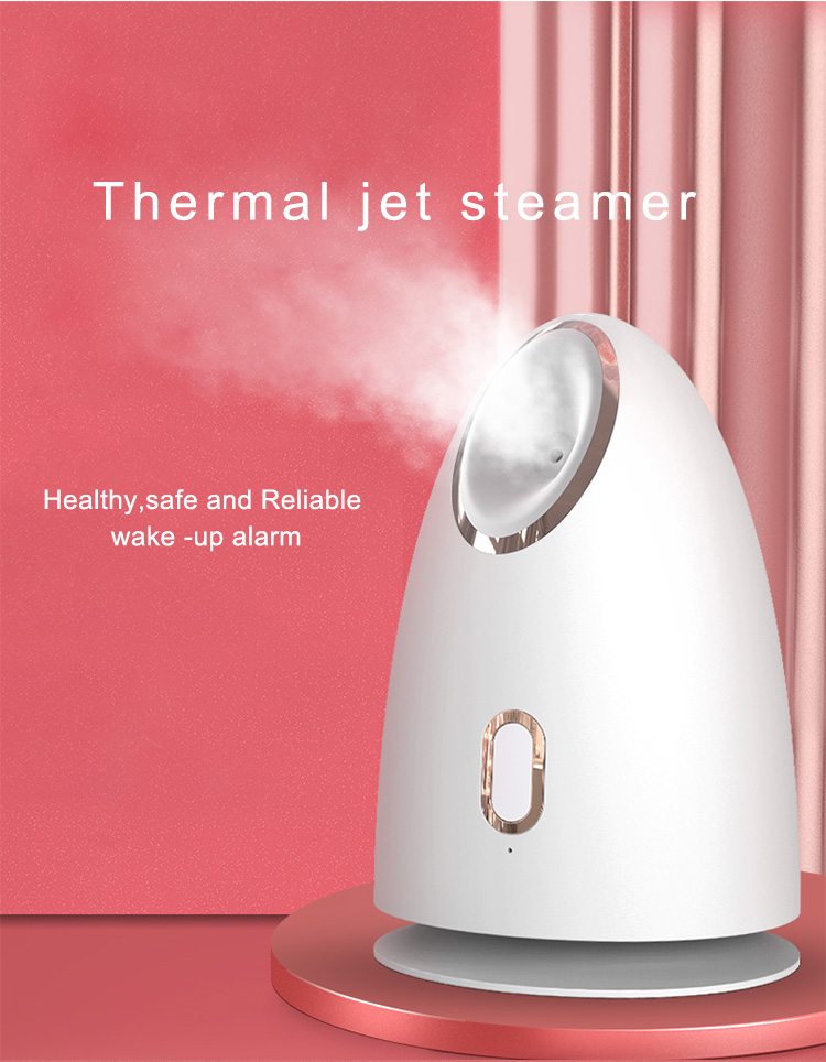 Z1 Hot sell facial steamer