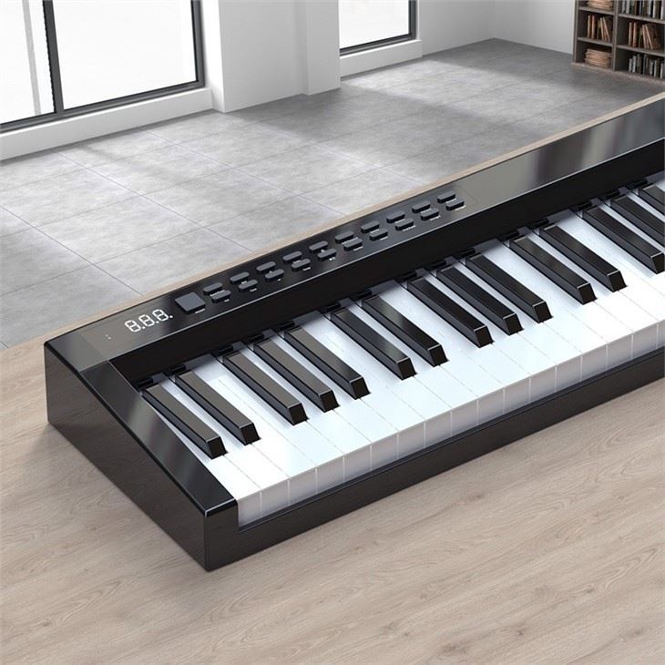 Elegant multifunction 61 keys travel Electronic Piano PH61C