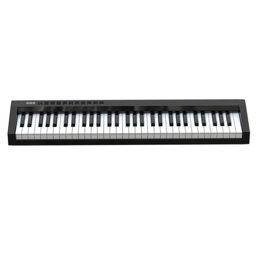Elegant multifunction 61 keys travel Electronic Piano PH61C