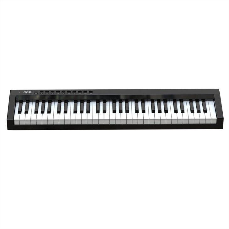Elegant multifunction 61 keys travel Electronic Piano PH61C