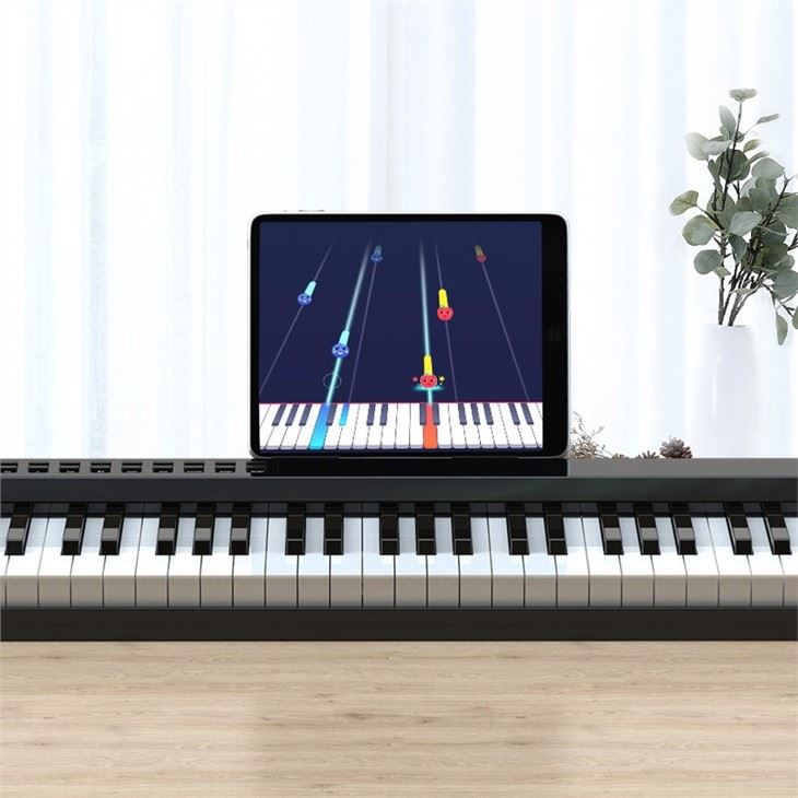 Elegant multifunction 61 keys travel Electronic Piano PH61C