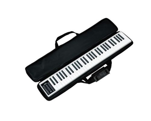 NEW design electrical piano with computer and app function and beautiful appearance PZ61M