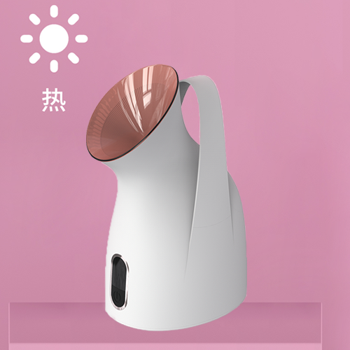 Z3 facial steamer