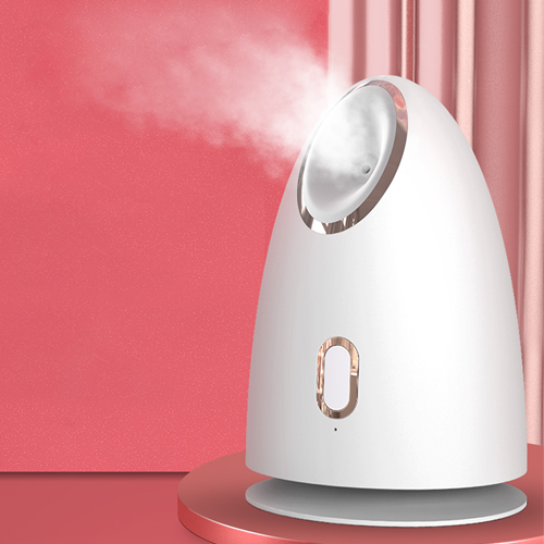 Z1 Hot sell facial steamer