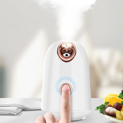 Z2 hot sell facial steamer