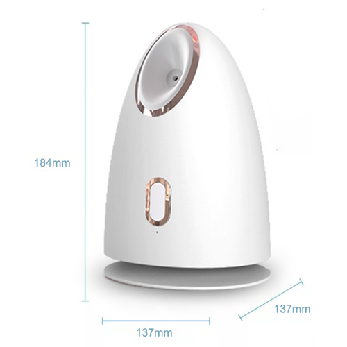 Z1 Hot sell facial steamer