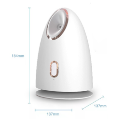 Z1 Hot sell facial steamer