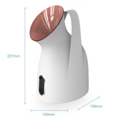 Z3 facial steamer