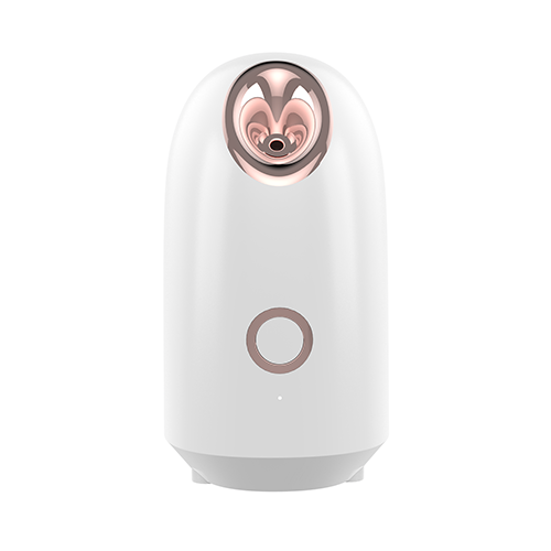 Z2 hot sell facial steamer
