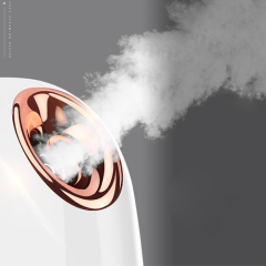 Z2 hot sell facial steamer