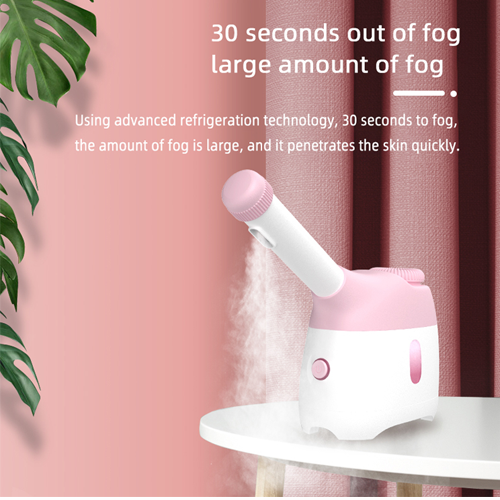 J3 facial steamer