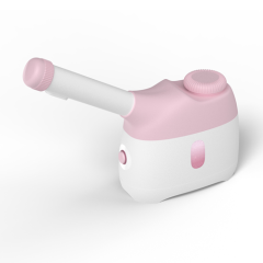 J3 facial steamer