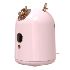 Z6 facial steamer