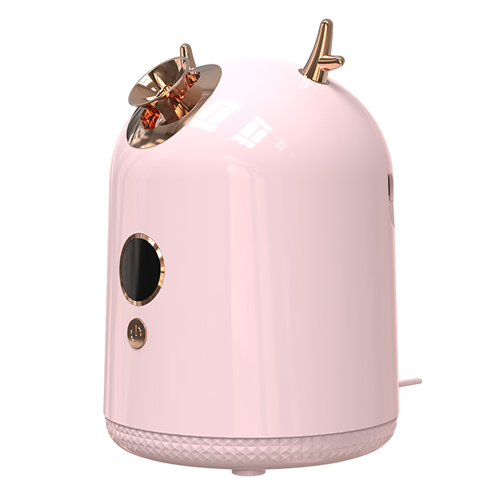 Z6 facial steamer