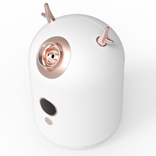 Z6 facial steamer
