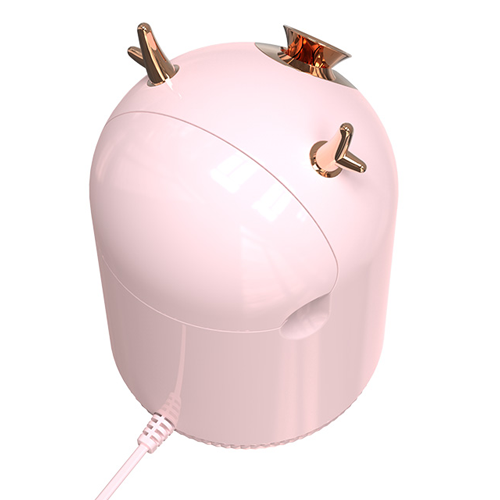 Z6 facial steamer