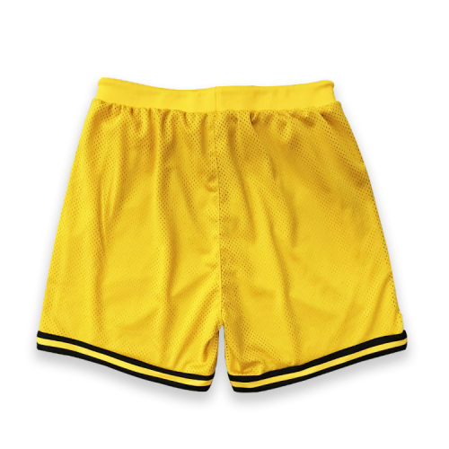 Embroidery Basketball Shorts
