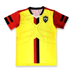 Customize Soccer Jersey | Sublimated Soccer Set