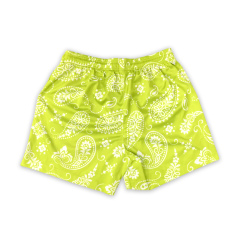 Custom Sublimated Mesh Basketball Shorts Active Shorts