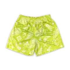 Custom Sublimated Mesh Basketball Shorts Active Shorts