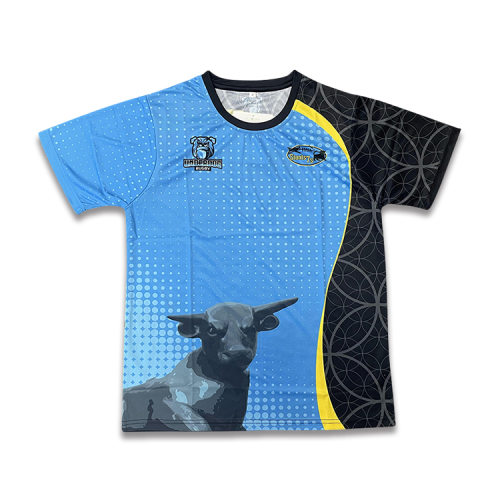 Customize Sublimated Sports T-Shirts