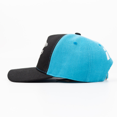 Customized Your Team Caps - Baseball Caps
