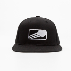 Customized Embroidery Black Flat Brim Hats Baseball Caps