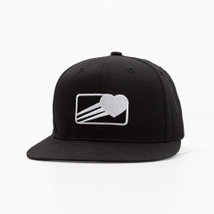 Customized Embroidery Black Flat Brim Hats Baseball Caps