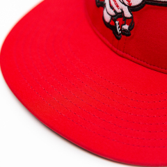 Embroidery Red Flat Brim Hats Baseball Caps