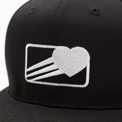 Customized Embroidery Black Flat Brim Hats Baseball Caps