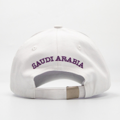 Baseball Hats Brim Embroidery Sports Caps
