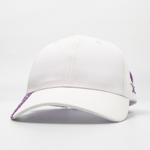 Baseball Hats Brim Embroidery Sports Caps