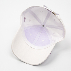 Baseball Hats Brim Embroidery Sports Caps