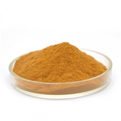 Extrato de Cordyceps em Pó