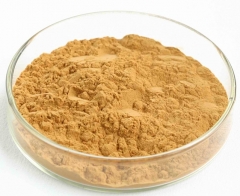 Extrato de Cordyceps em Pó