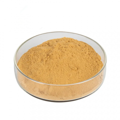 Extrato de Angélica Sinensis