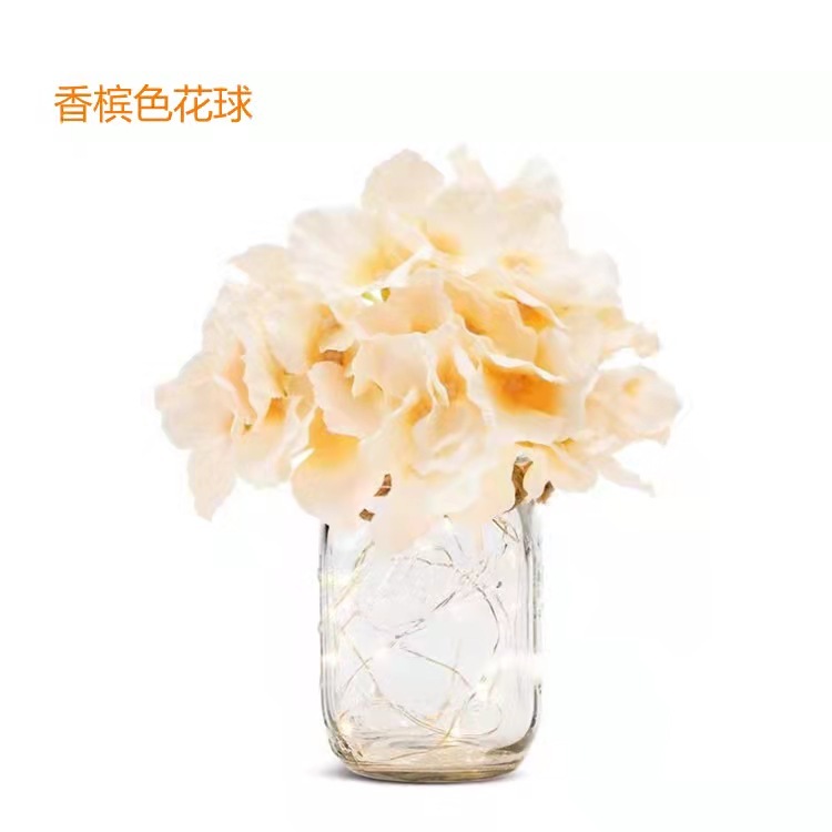 Mason bottle home outdoor decoration wall flower lamp LED retro lamp