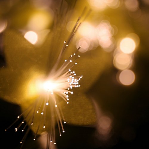 Optical Fiber Flower Decorative Tree Lamp, Battery Case USB Dual-Use Small Night Light