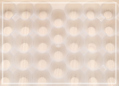 34 Cells Clear PP Plastic Egg Storage Tray Box